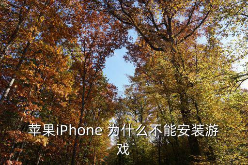 苹果iPhone 为什么不能安装游戏