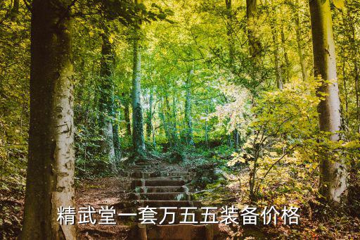 精武堂一套万五五装备价格