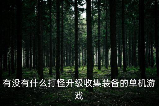 有没有什么打怪升级收集装备的单机游戏
