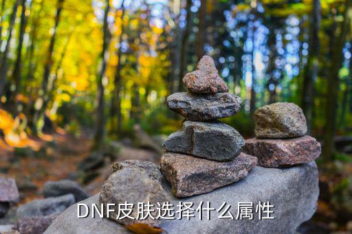 dnf皮肤选什么属性吗，dnf皮肤选什么属性