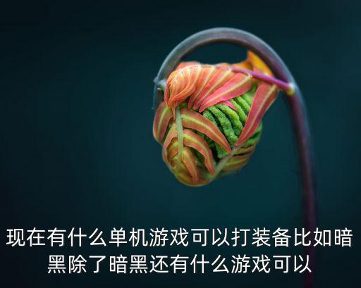 现在有什么单机游戏可以打装备比如暗黑除了暗黑还有什么游戏可以