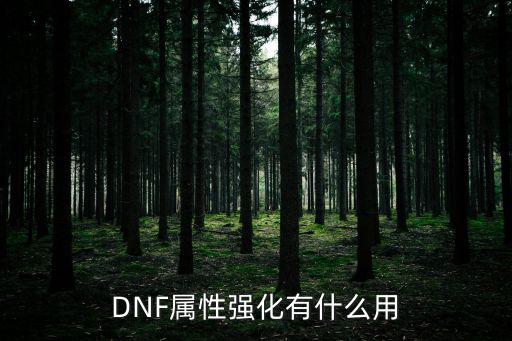 DNF属性强化有什么用