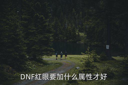 DNF红眼要加什么属性才好