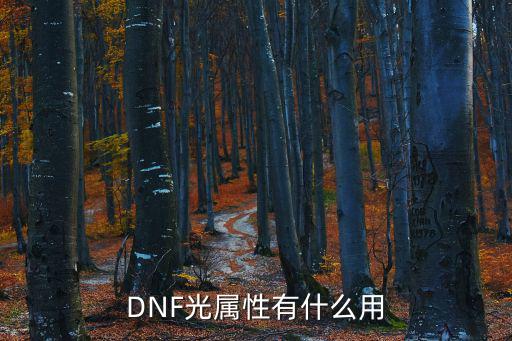 DNF光属性有什么用