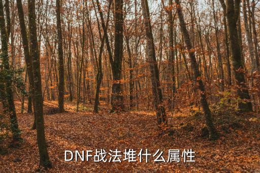 DNF战法堆什么属性