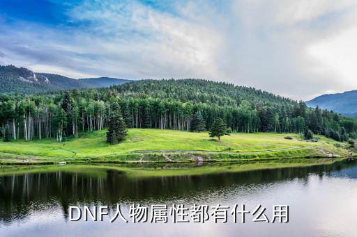 dnf为什么要使用属性，DNF人物属性都有什么用