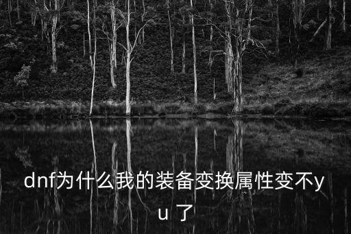 dnf为什么我的装备变换属性变不yu 了