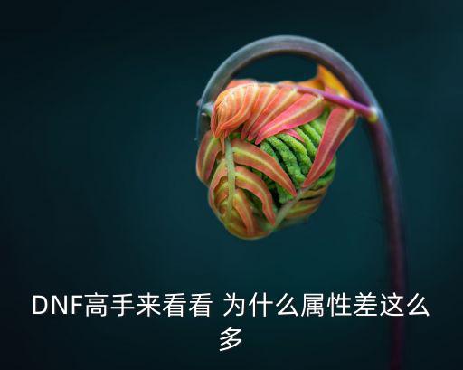 DNF高手来看看 为什么属性差这么多