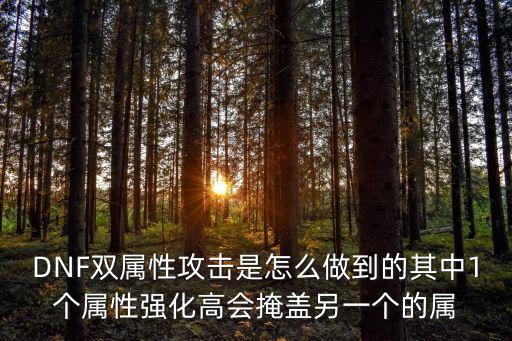 DNF双属性攻击是怎么做到的其中1个属性强化高会掩盖另一个的属
