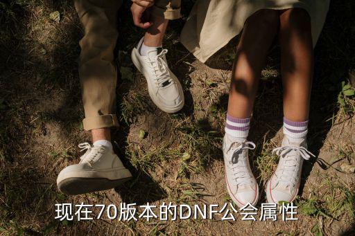 dnf为什么工会属性没了，现在70版本的DNF公会属性