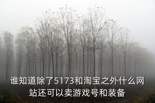 谁知道除了5173和淘宝之外什么网站还可以卖游戏号和装备
