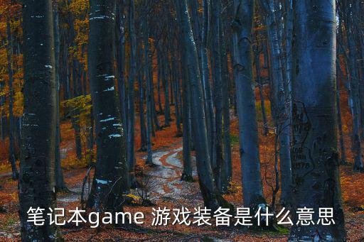 笔记本game 游戏装备是什么意思