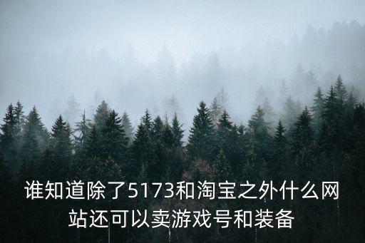 谁知道除了5173和淘宝之外什么网站还可以卖游戏号和装备