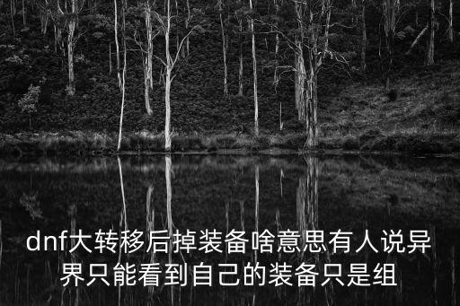 dnf大转移后掉装备啥意思有人说异界只能看到自己的装备只是组
