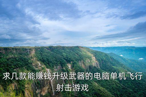 求几款能赚钱升级武器的电脑单机飞行射击游戏
