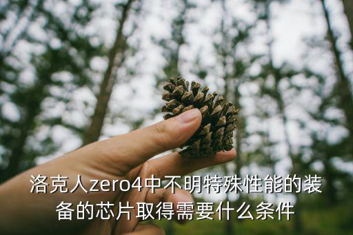 洛克人zero4中不明特殊性能的装备的芯片取得需要什么条件