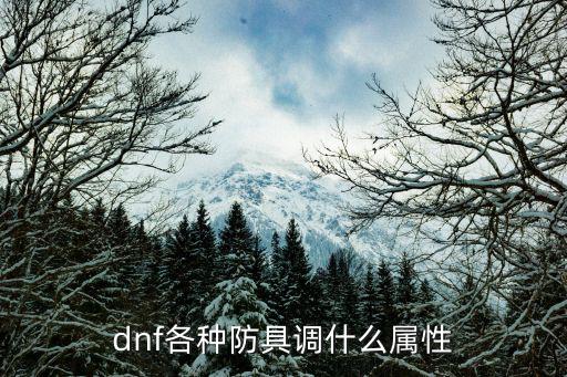 dnf各种防具调什么属性