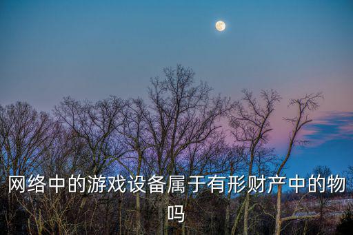 网络中的游戏设备属于有形财产中的物吗