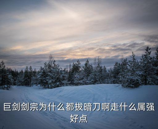 巨剑剑宗为什么都拔暗刀啊走什么属强好点