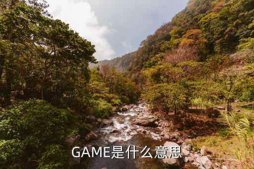 GAME是什么意思