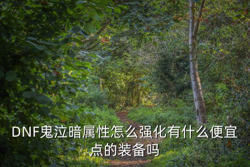 DNF鬼泣暗属性怎么强化有什么便宜点的装备吗