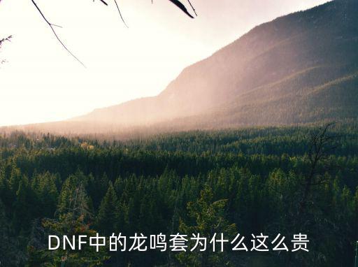 dnf冰属性为什么那么贵，DNF中的龙鸣套为什么这么贵