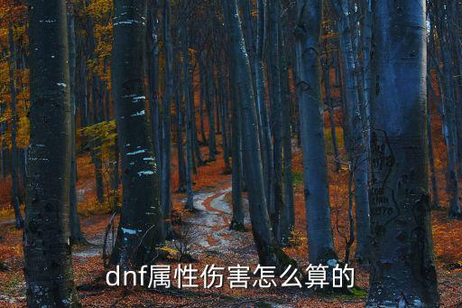 dnf属性伤害怎么算的