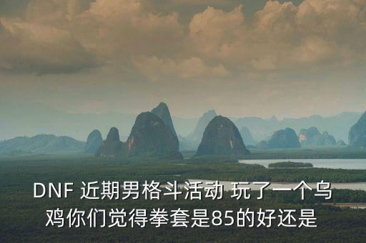 DNF 近期男格斗活动 玩了一个乌鸡你们觉得拳套是85的好还是