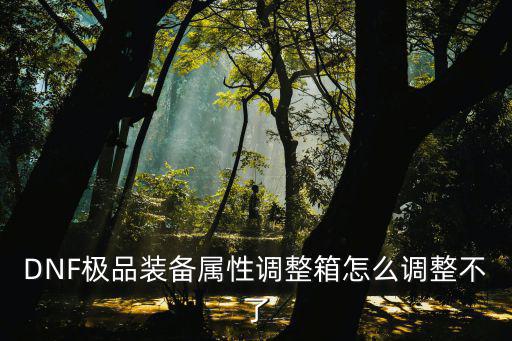 DNF极品装备属性调整箱怎么调整不了