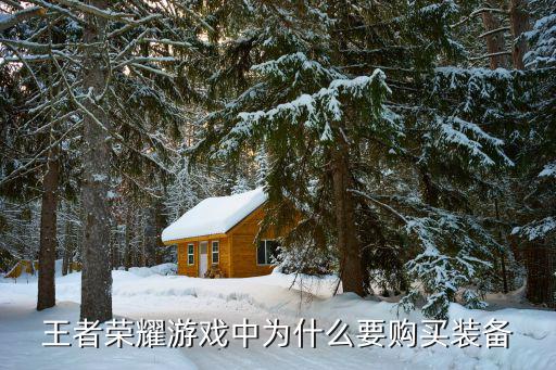 为什么有人都买游戏装备，游戏现在的装备 为什么都要那么多钱去弄啊