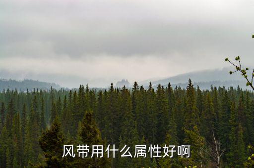风带用什么属性好啊