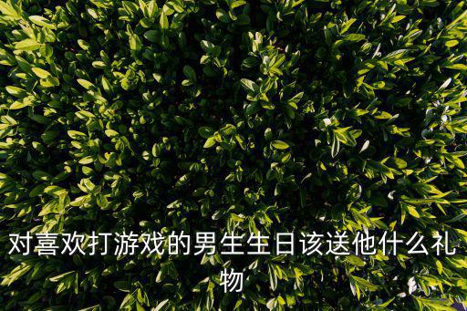 对喜欢打游戏的男生生日该送他什么礼物