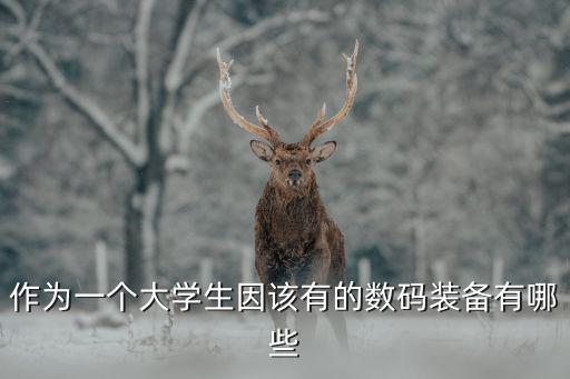 作为一个大学生因该有的数码装备有哪些