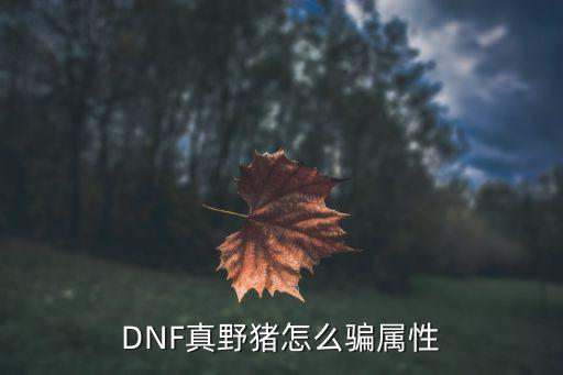 DNF真野猪怎么骗属性