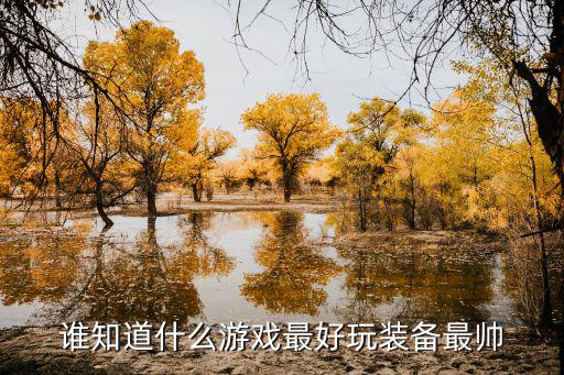 谁知道什么游戏最好玩装备最帅