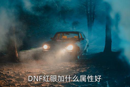 DNF红眼加什么属性好