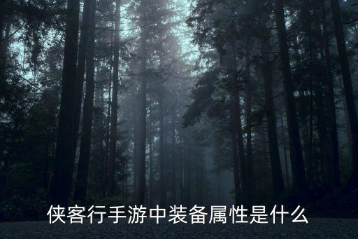 游戏装备属性是什么，侠客行手游中装备属性是什么