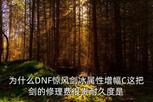 dnf为什么冰属性比火贵，DNF中火属性好还是冰属性好说明具体原因