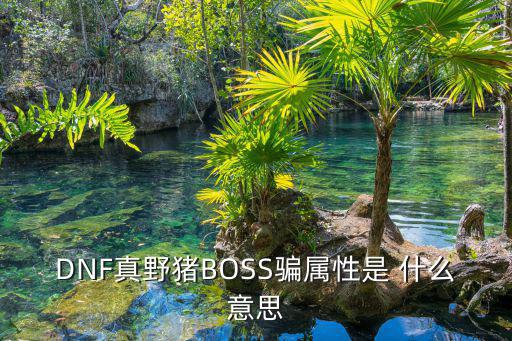 DNF真野猪BOSS骗属性是 什么意思