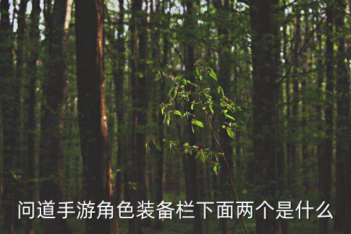 问道手游角色装备栏下面两个是什么