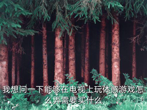 我想问一下能够在电视上玩体感游戏怎么弄需要买什么