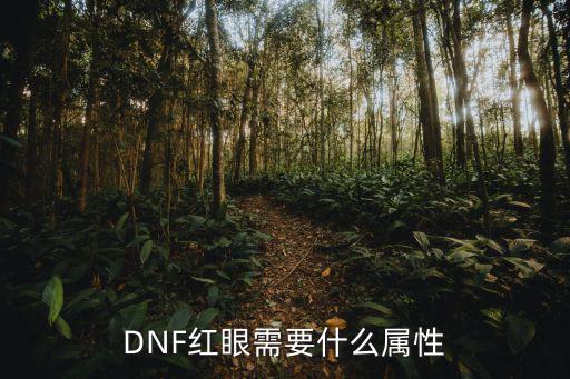 dnf红眼什么属性，DNF红眼需要什么属性