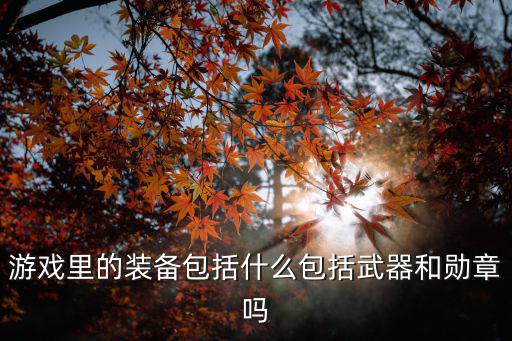 游戏里的装备包括什么包括武器和勋章吗