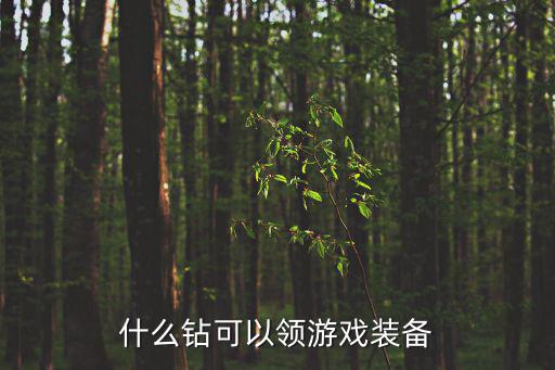 什么钻可以领游戏装备