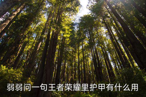 游戏装备护甲三级有什么用，Q三装备免伤害等级有什么用