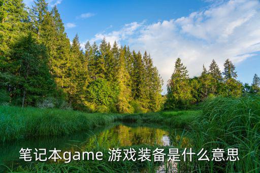 笔记本game 游戏装备是什么意思