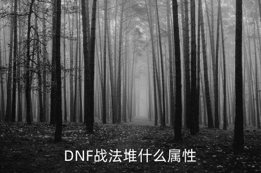 DNF战法堆什么属性