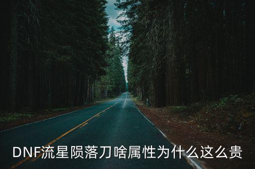 DNF流星陨落刀啥属性为什么这么贵