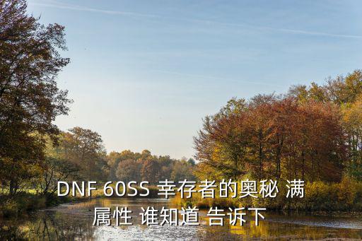 dnf为什么我石碑满属性，DNF 60SS 幸存者的奥秘 满属性 谁知道 告诉下