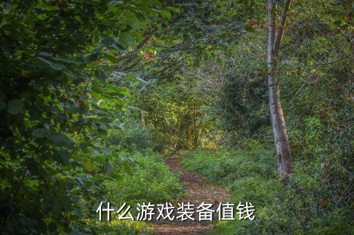 现在什么游戏装备最贵，什么游戏装备值钱
